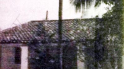 laureana2