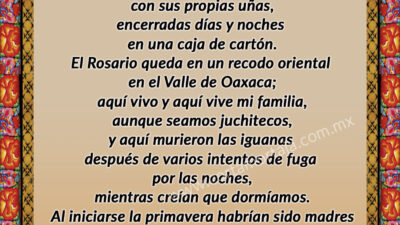 POEMA IGUANAS