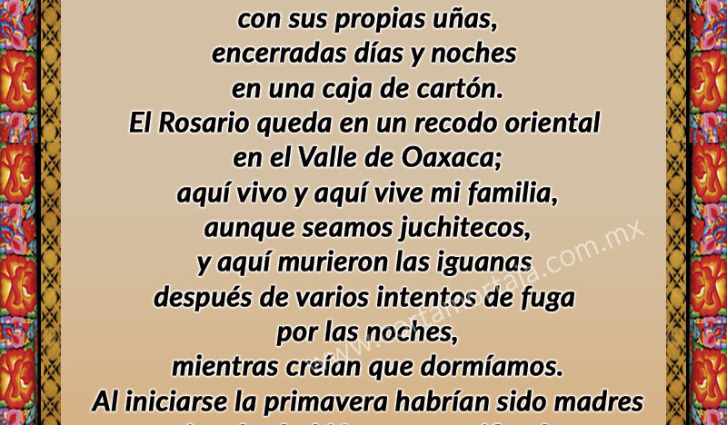 POEMA IGUANAS